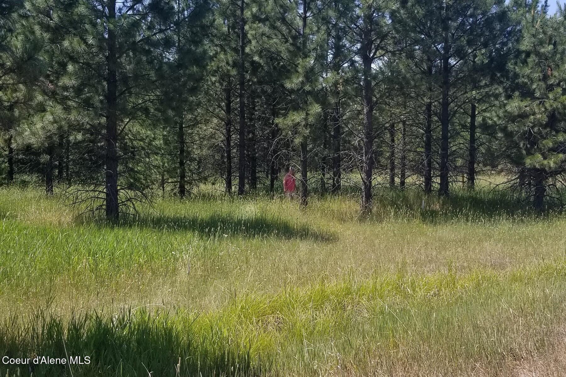 Nna Ponderesa Ranch Road Sagle, ID 83860 - Photo 7 of 8 86211270