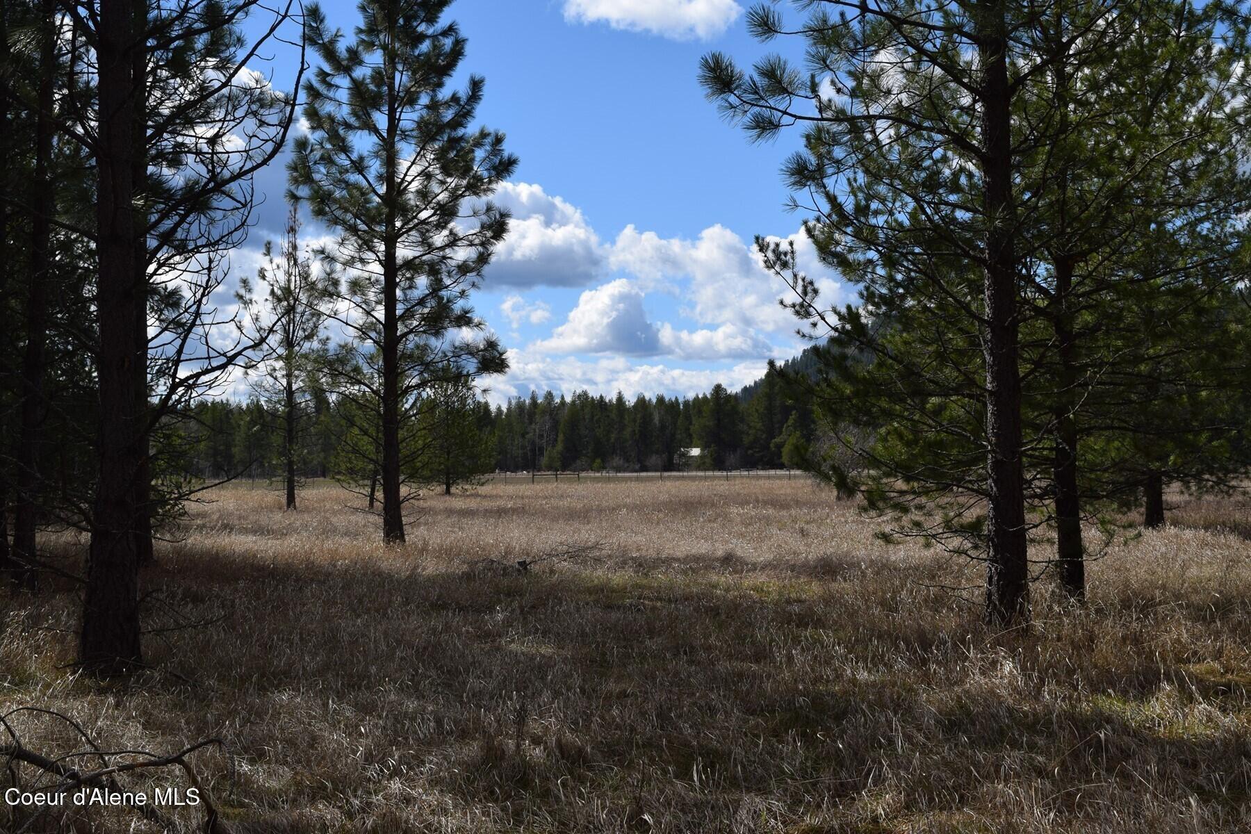 Nna Ponderesa Ranch Road Sagle, ID 83860 - Photo 10 of 33 86244575