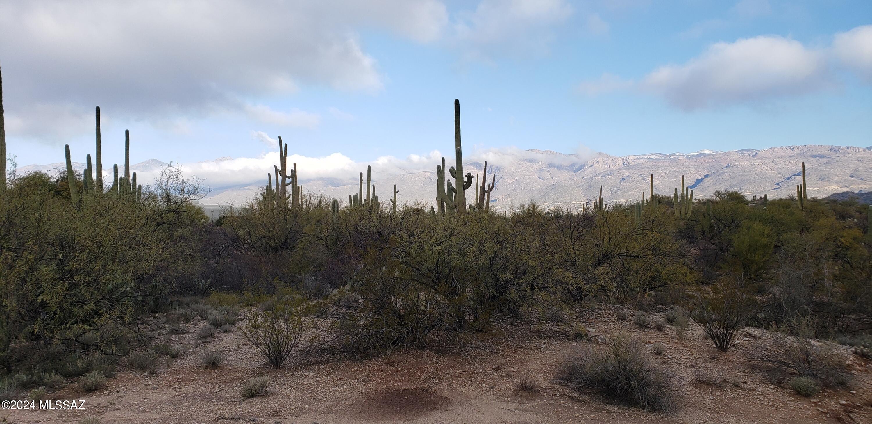 12555 East Fort Lowell Road Tucson, AZ 85749 - Photo 22 of 24 Gallery Image 22
