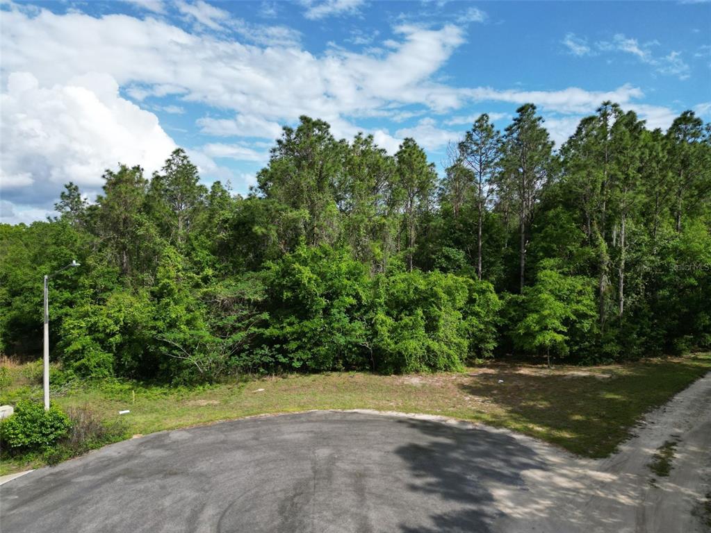 0 Southeast 119th Street Belleview, FL 34420 - Photo 11 of 11 a view of a yard