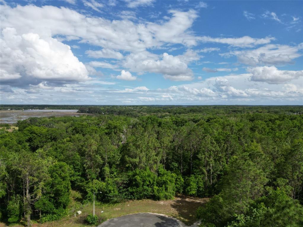 0 Southeast 119th Street Belleview, FL 34420 - Photo 2 of 11 a view of a green field