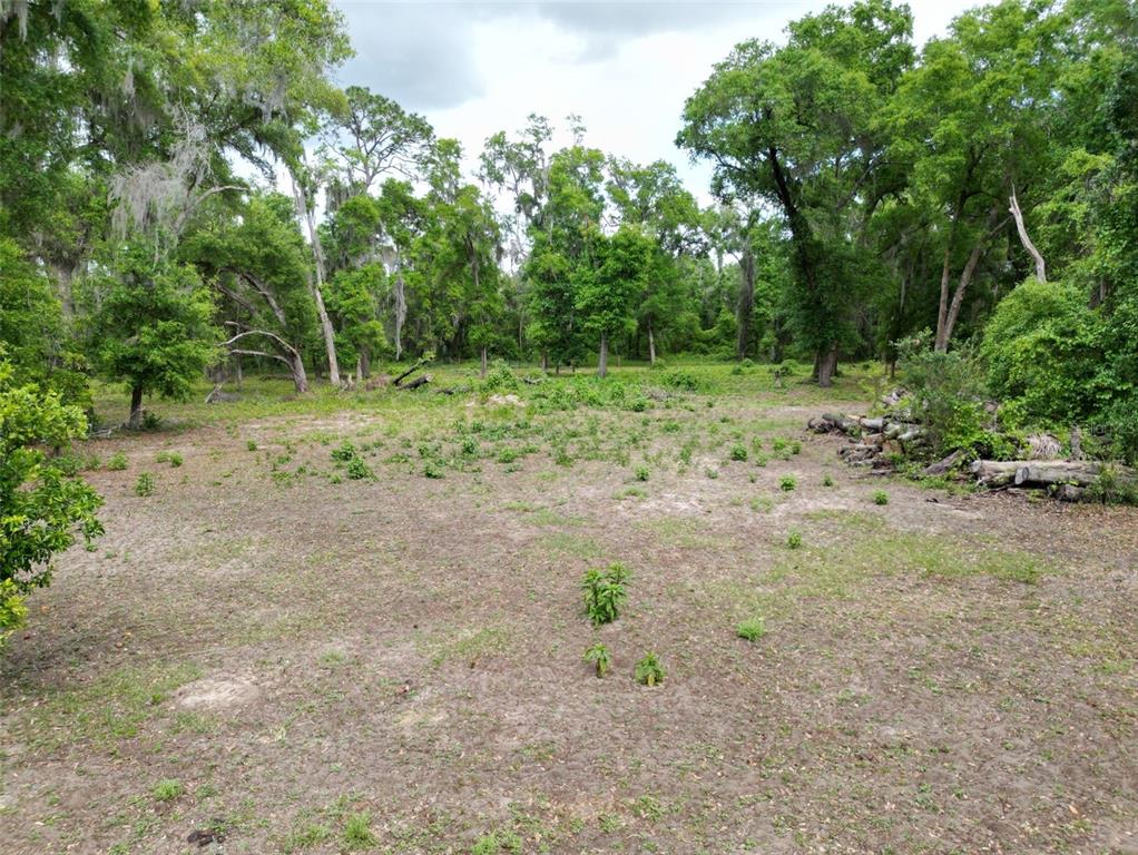 0 Southeast 119th Street Belleview, FL 34420 - Photo 3 of 11 a view of a yard with a tree