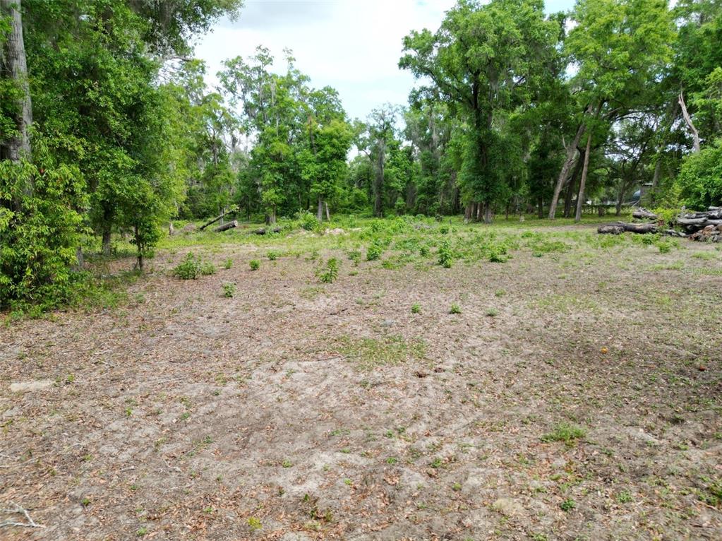 0 Southeast 119th Street Belleview, FL 34420 - Photo 4 of 11 a view of a yard with a tree