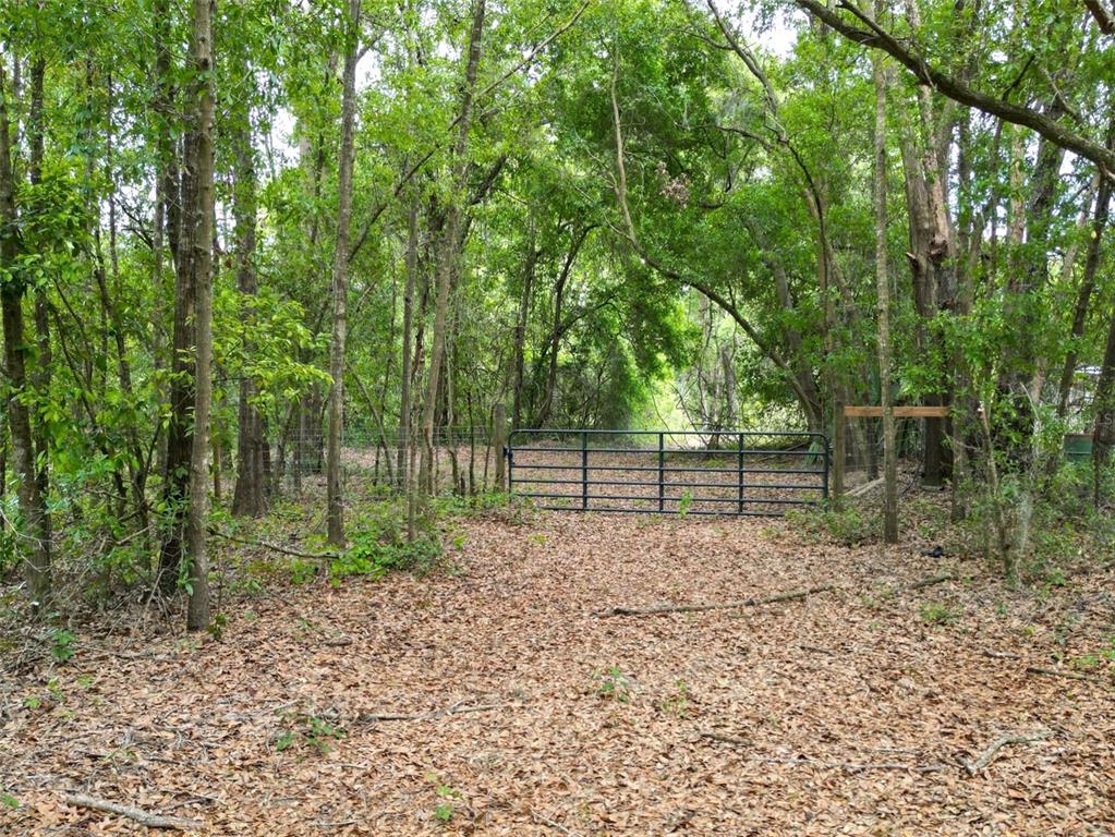 0 Southeast 119th Street Belleview, FL 34420 - Photo 6 of 11 a view of a backyard with trees