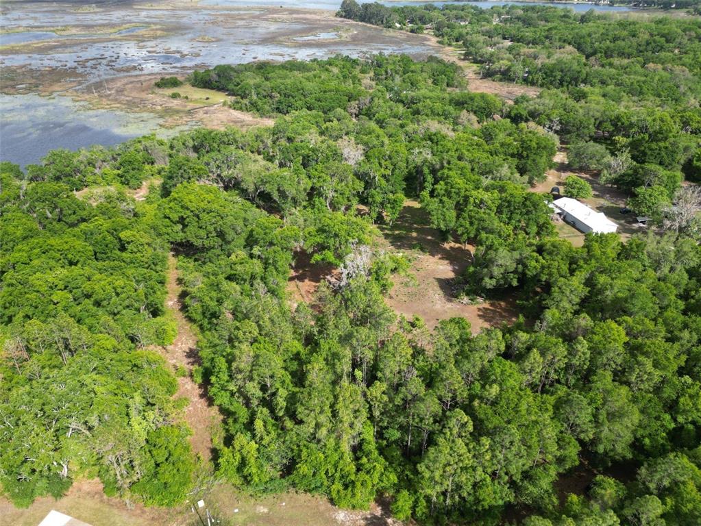 0 Southeast 119th Street Belleview, FL 34420 - Photo 9 of 11 a view of a garden with a house
