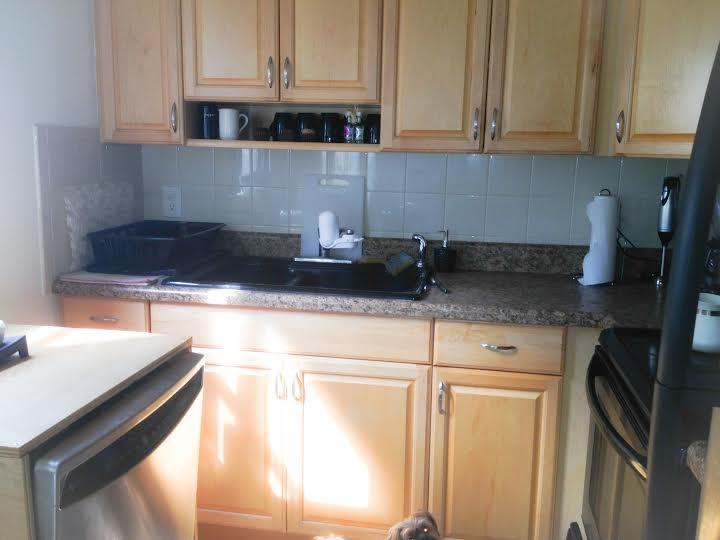 548 Monaco Way Delray Beach, FL 33446 - Photo 2 of 9 kitchen