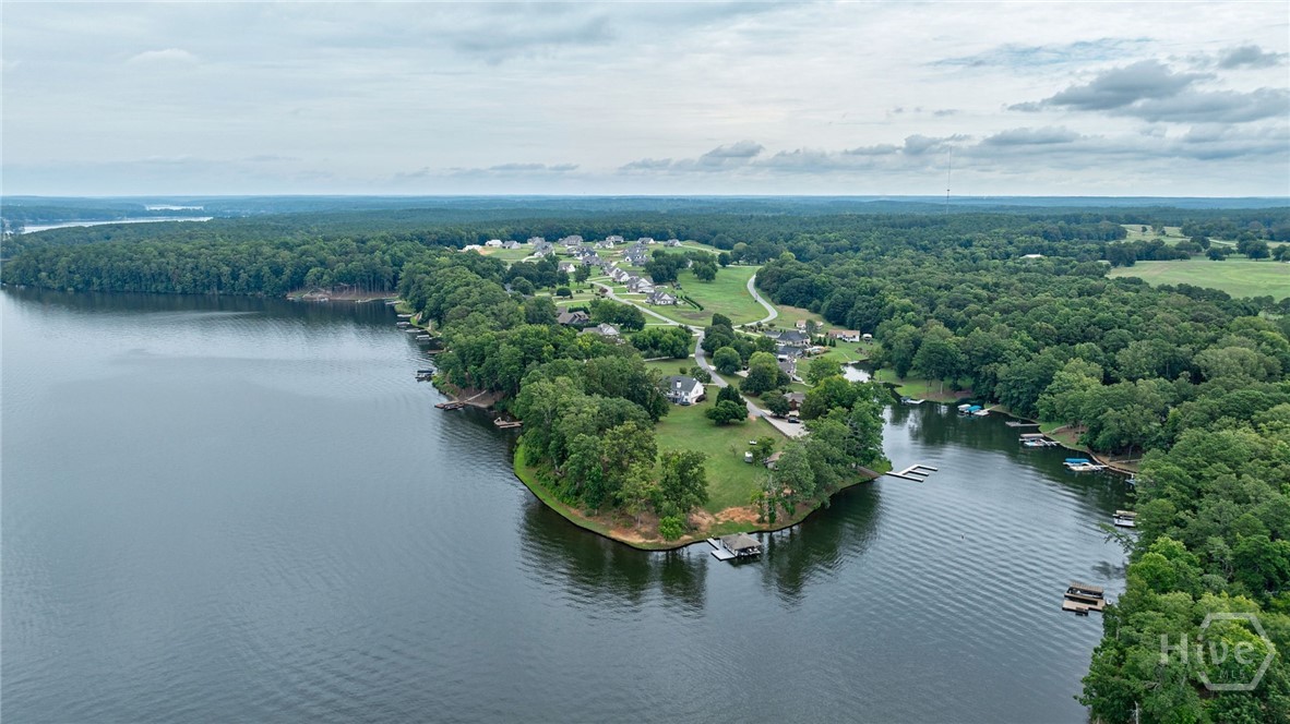 1091 Sunset Bluff Greensboro, GA 30642 - Photo 44 of 44