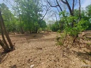 $79,900 | 0 Lot 6 Big Piney Estates, Cabool, MO 65689