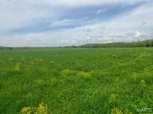 $79,900 | 0 Lot 6 Big Piney Estates, Cabool, MO 65689