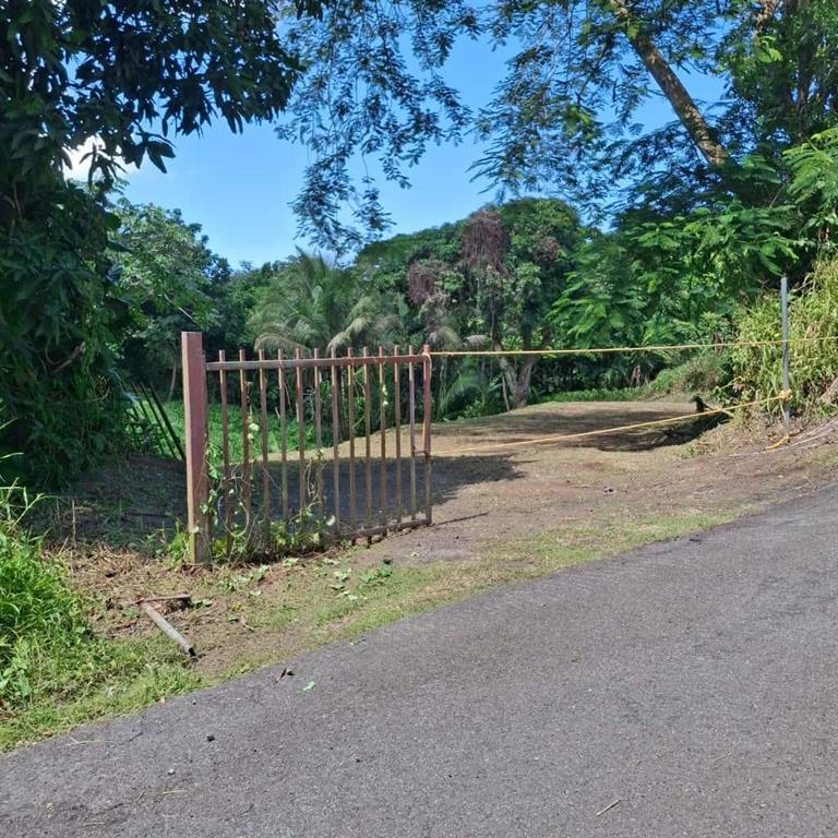 831 Km6.1 Bayamon, PR 00956 - Photo 3 of 6 Gallery Image 3