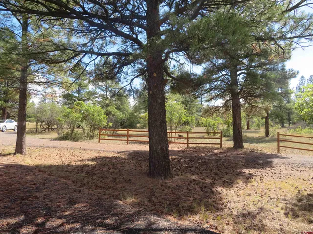 a view of a road with a trees