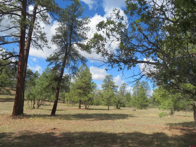 $1,090,950 | 777 Buttress Avenue, Pagosa Springs, CO 81147