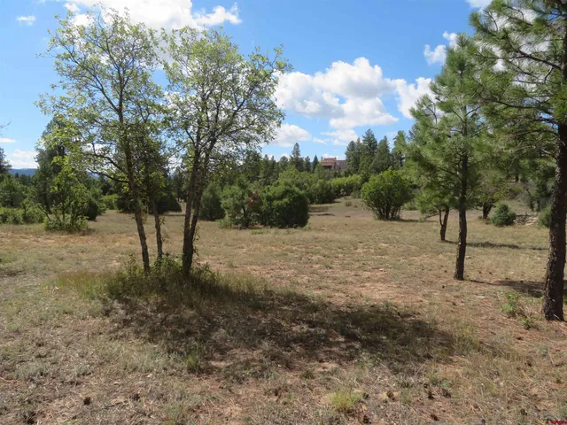 $1,090,950 | 777 Buttress Avenue, Pagosa Springs, CO 81147