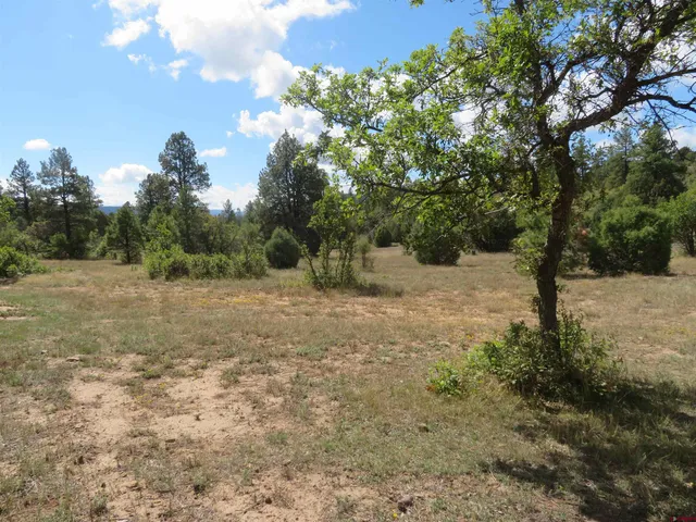 $1,090,950 | 777 Buttress Avenue, Pagosa Springs, CO 81147