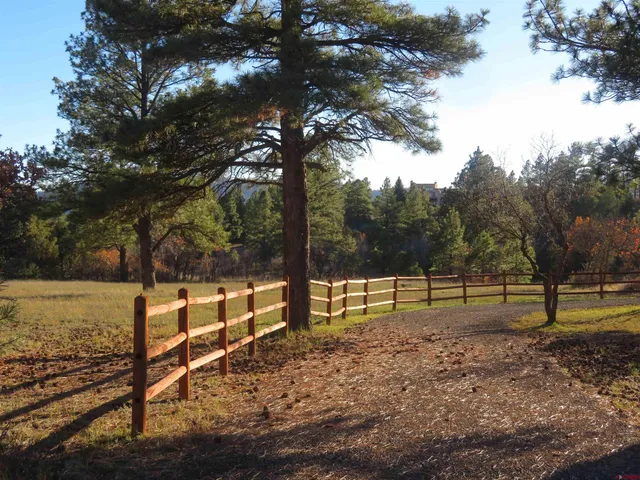 a view of park with trees