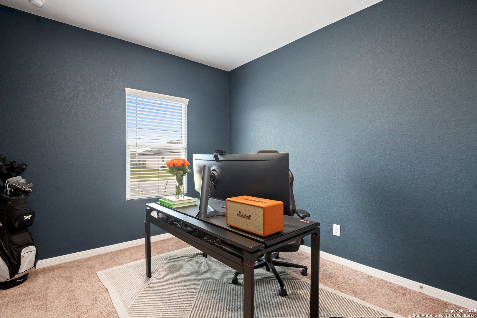 808 Riviera Court Seguin, TX 78155 - Photo 16 of 22 a room with furniture and windows