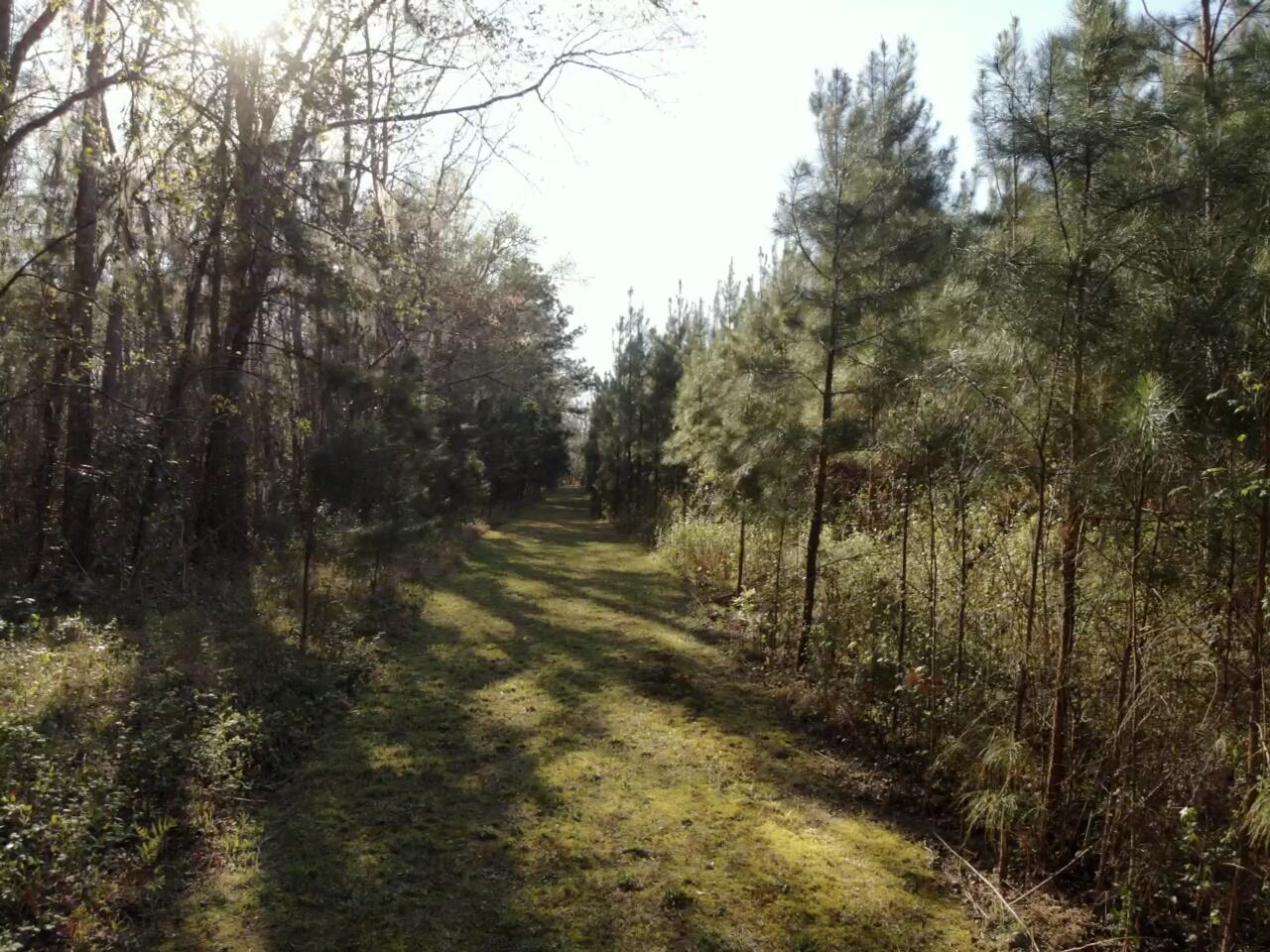 0 Polk Road Islandton, SC 29929 - Photo 14 of 18 IMG_3260