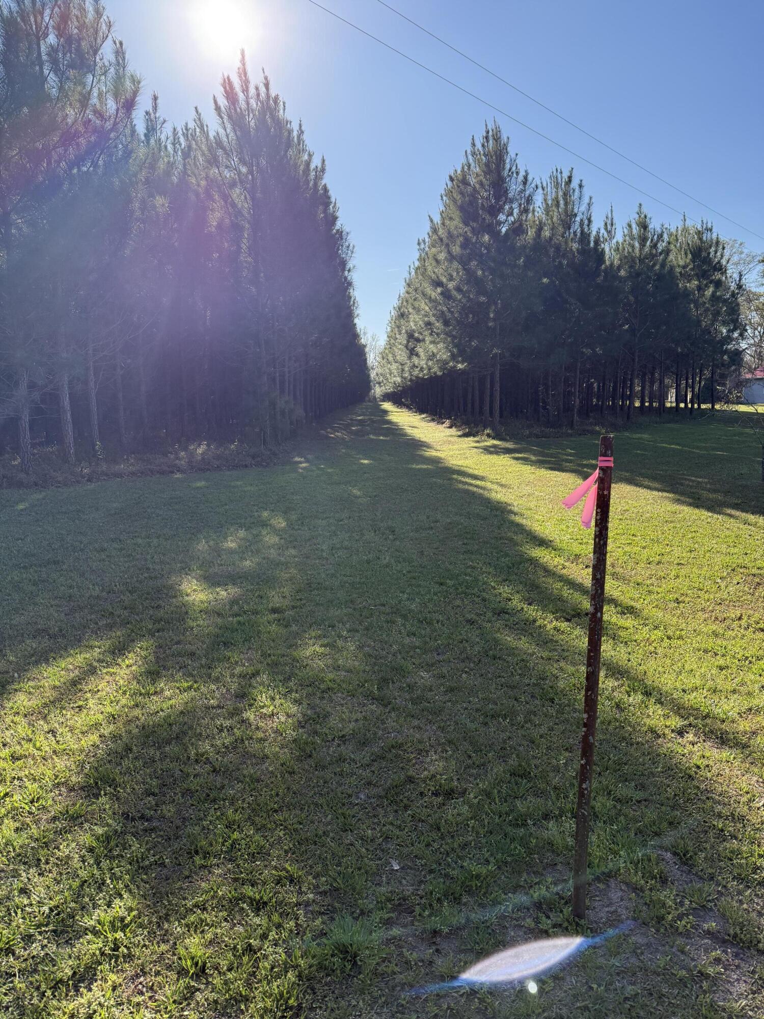 0 Polk Road Islandton, SC 29929 - Photo 16 of 18 IMG_3262