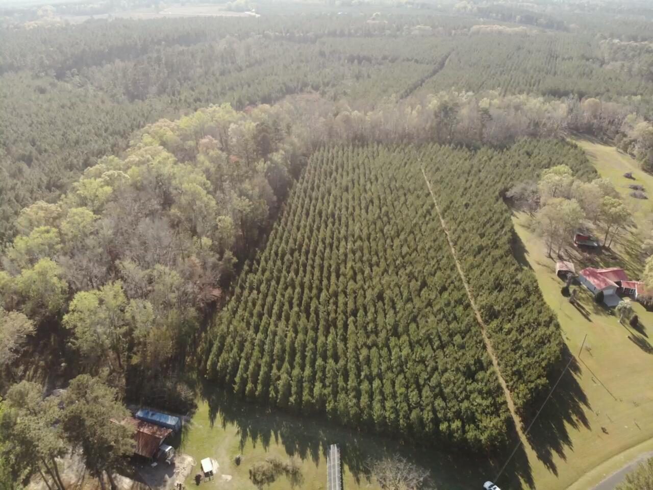 0 Polk Road Islandton, SC 29929 - Photo 4 of 18 IMG_3250