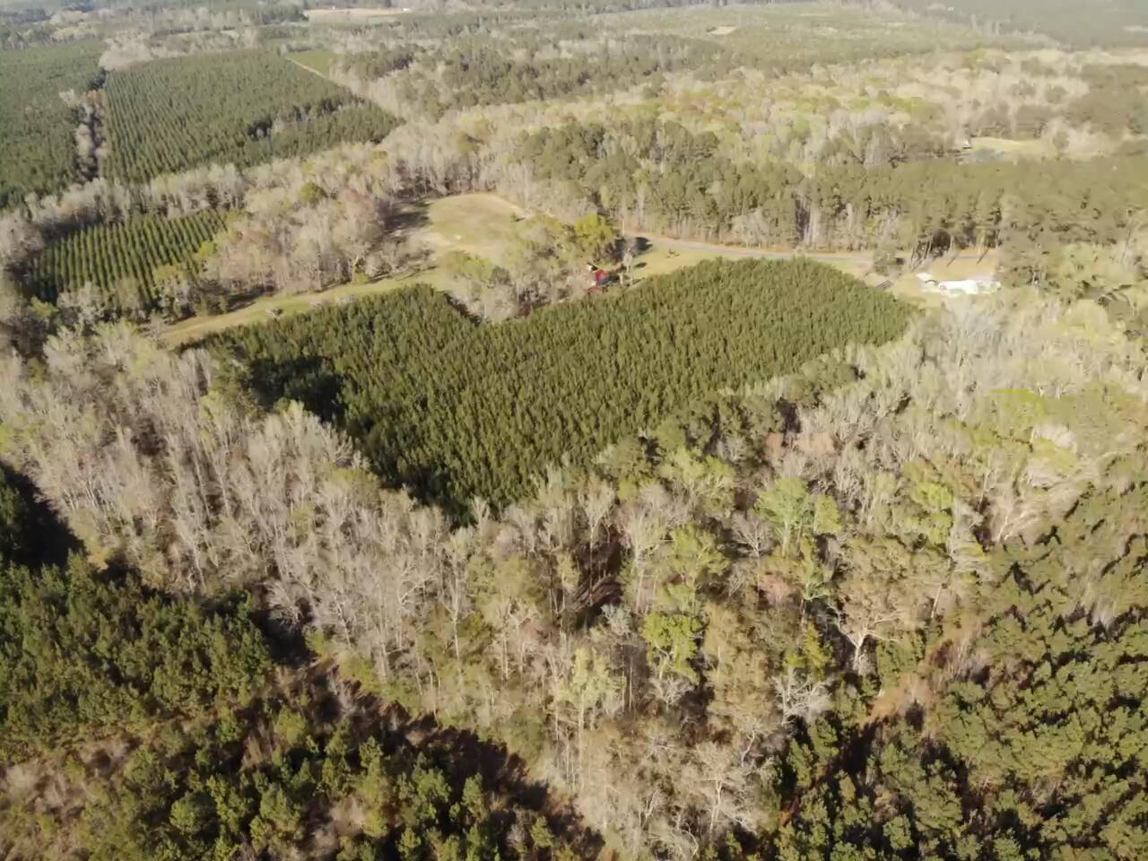 0 Polk Road Islandton, SC 29929 - Photo 6 of 18 IMG_3252