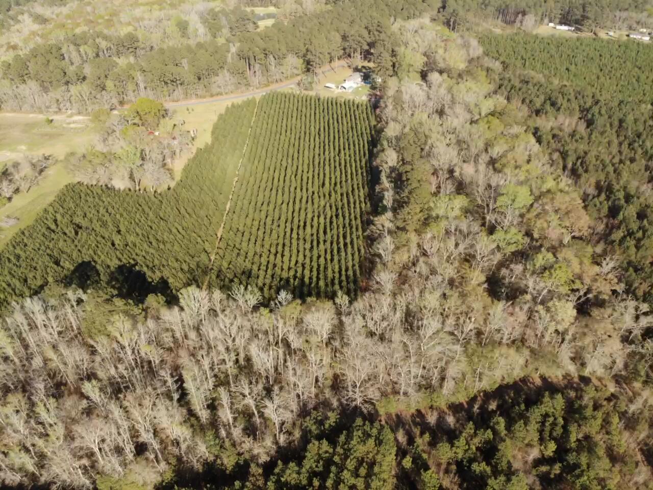 0 Polk Road Islandton, SC 29929 - Photo 7 of 18 IMG_3253