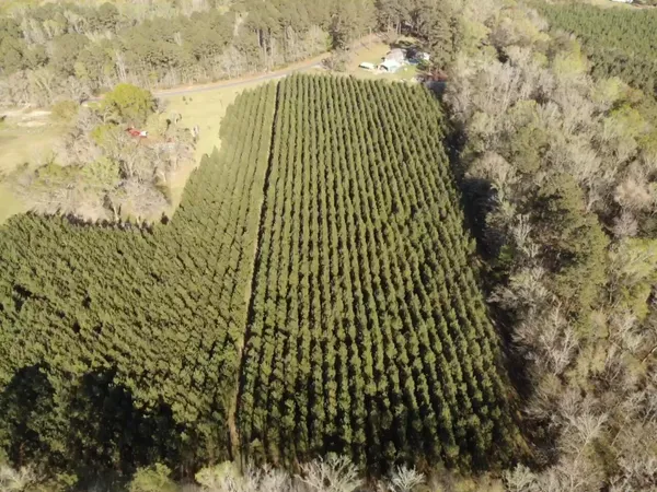 $95,000 | 0 Polk Road, Islandton, SC 29929