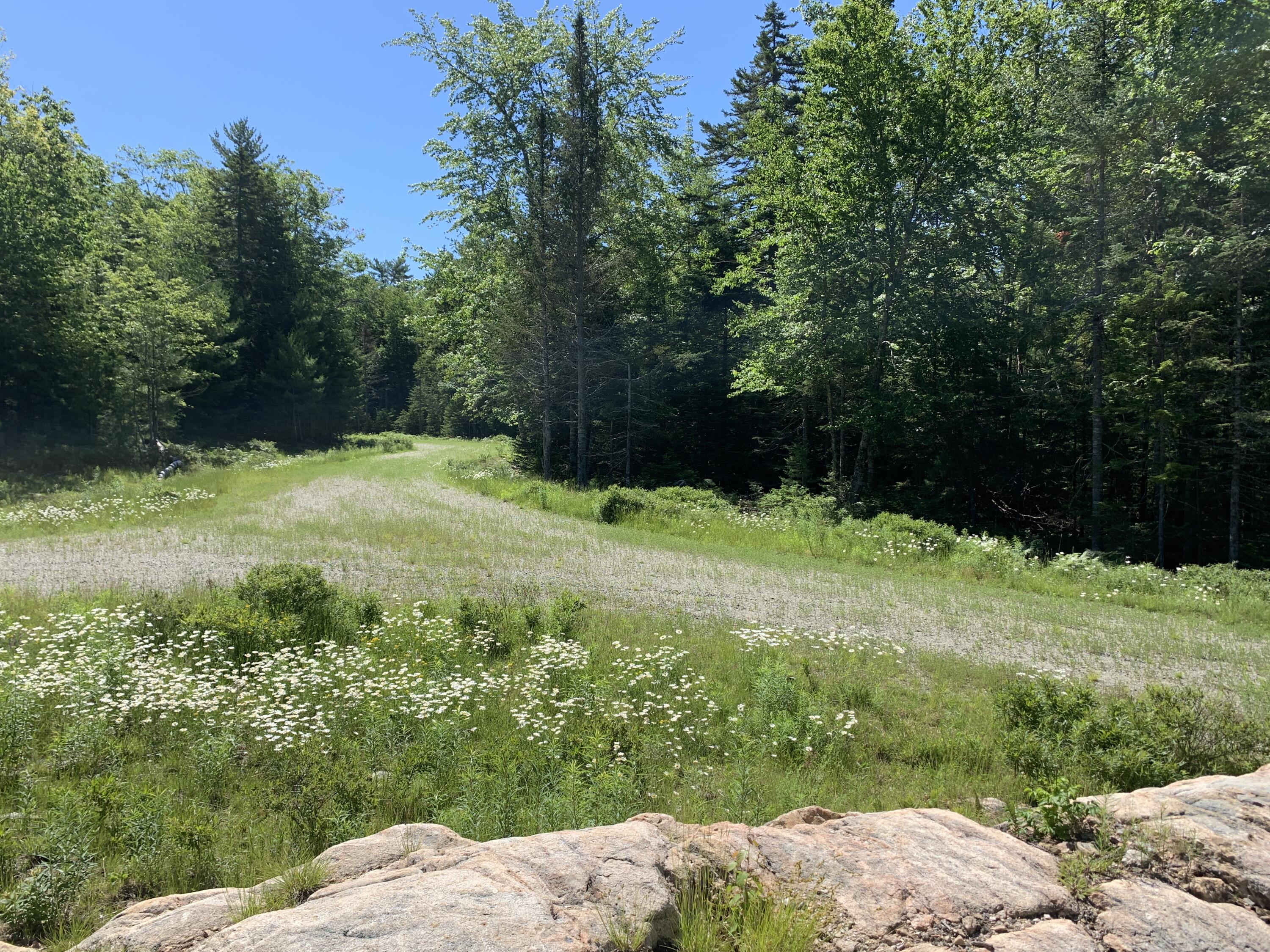 0 Patty Lp Road Mount Desert, ME 04660 - Photo 5 of 6 IMG_5996