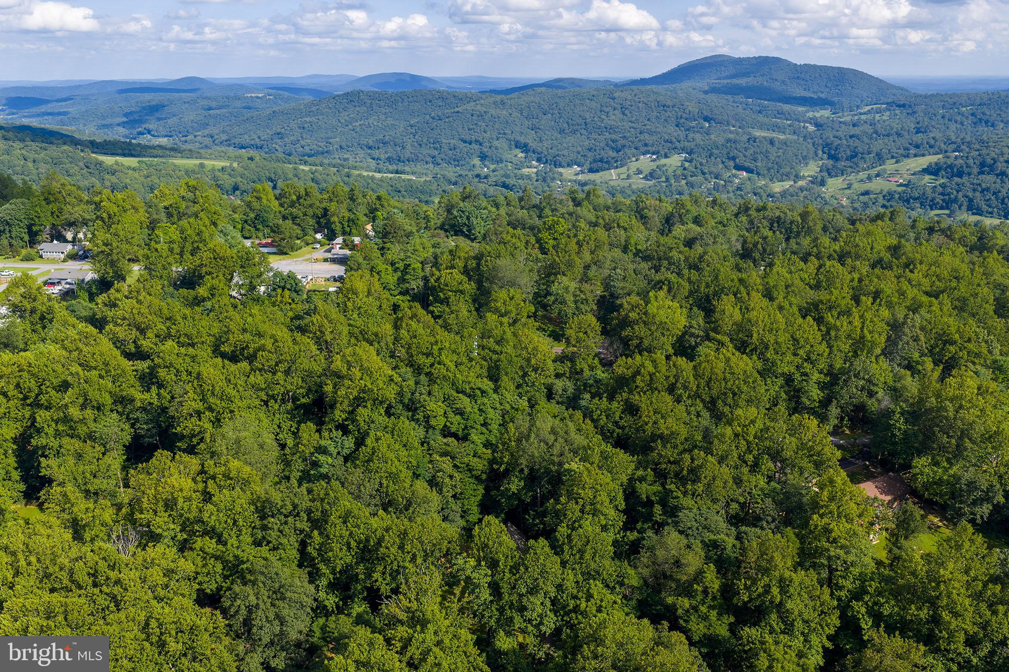 106 Inca Road Linden, VA 22642 - Photo 14 of 17 a view of a lush green hillside and a houses
