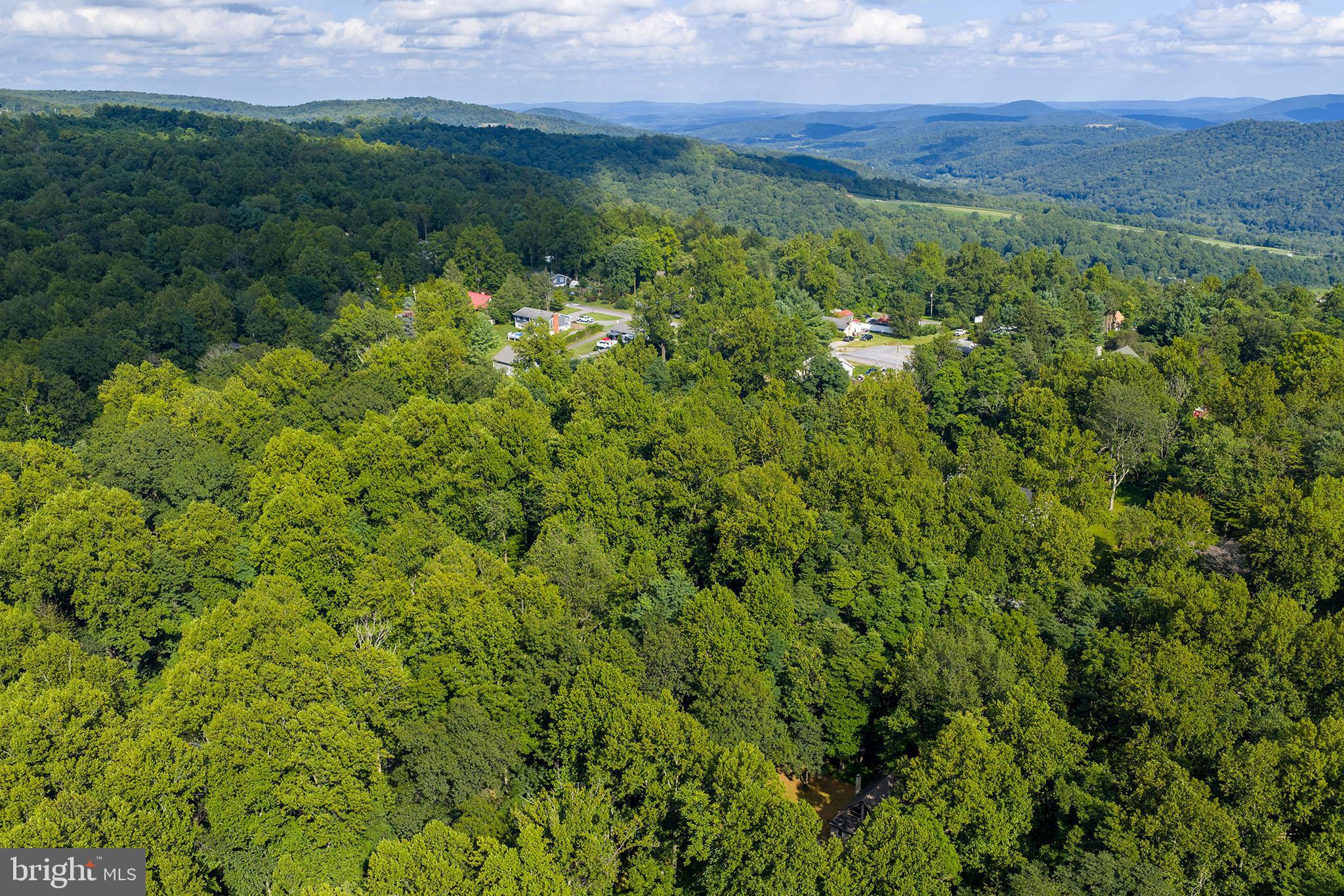 106 Inca Road Linden, VA 22642 - Photo 16 of 17 a view of a lush green forest with lots of trees