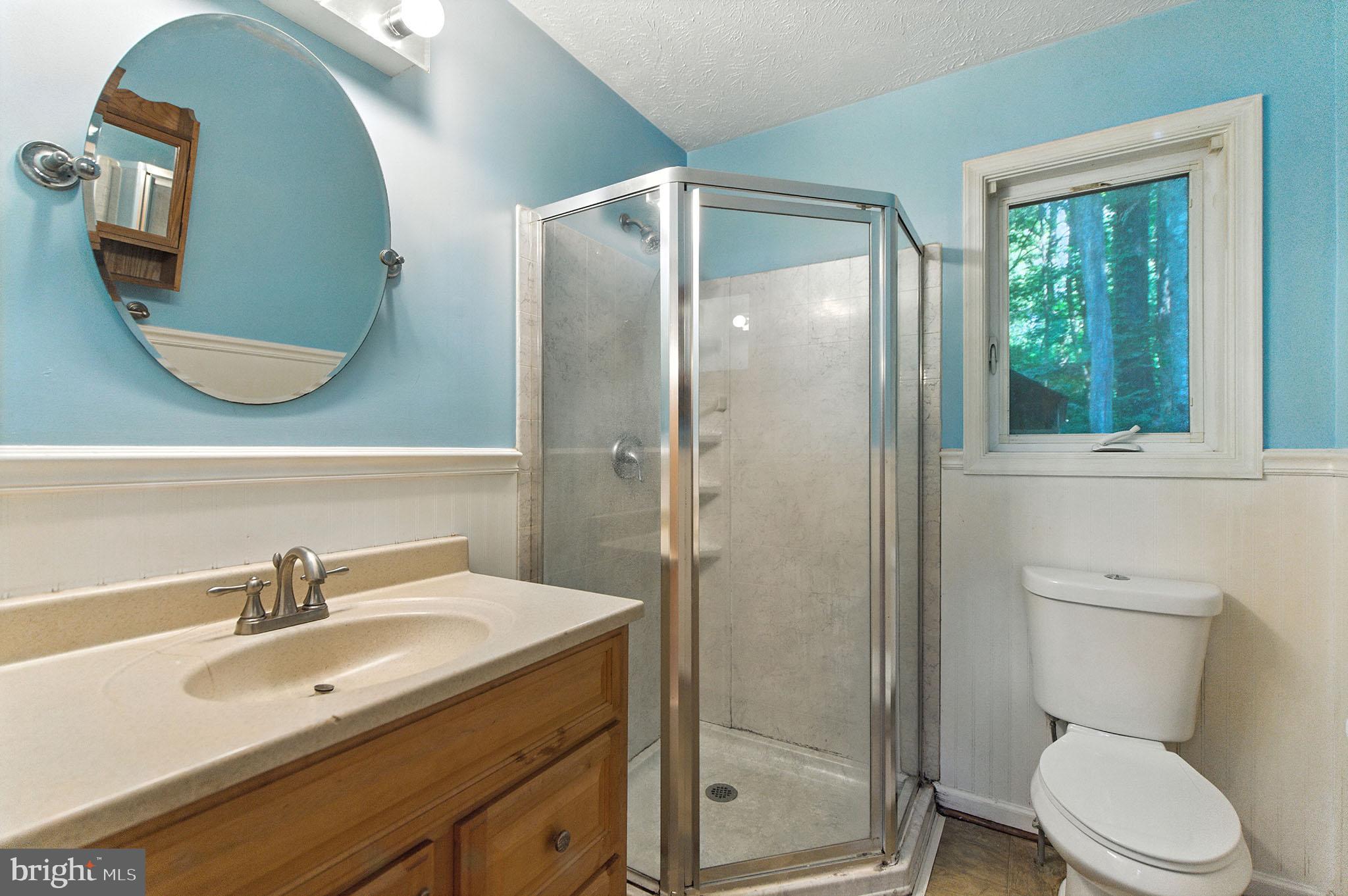 106 Inca Road Linden, VA 22642 - Photo 9 of 17 a bathroom with a toilet sink vanity and shower