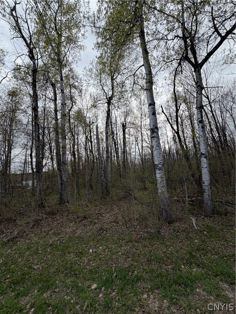 0 Farney Pit Road Carthage, NY 13619 - Photo 5 of 7