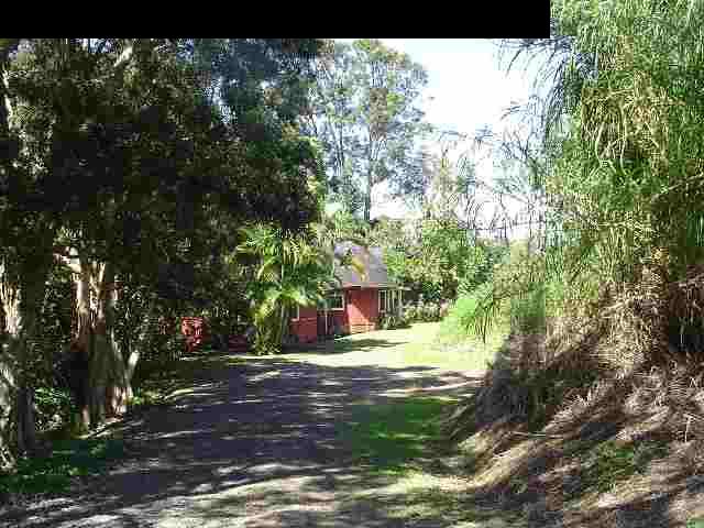 497 Kawelo Road Haiku, HI 96708 - Photo 2 of 18 a view of backyard with green space