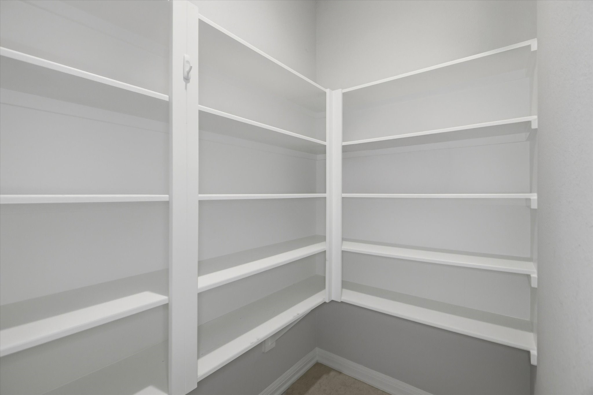 16738 Rockwall Street Conroe, TX 77303 - Photo 14 of 42 A large walk-in pantry ensures storage is never an issue.