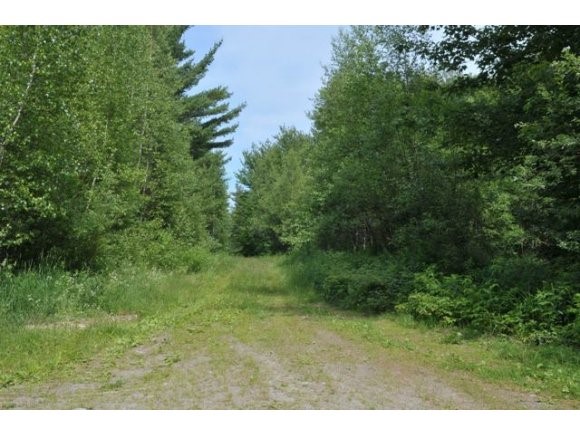 Off Gendron Road Jay, VT 05859 - Photo 1 of 1 Gallery Image 1