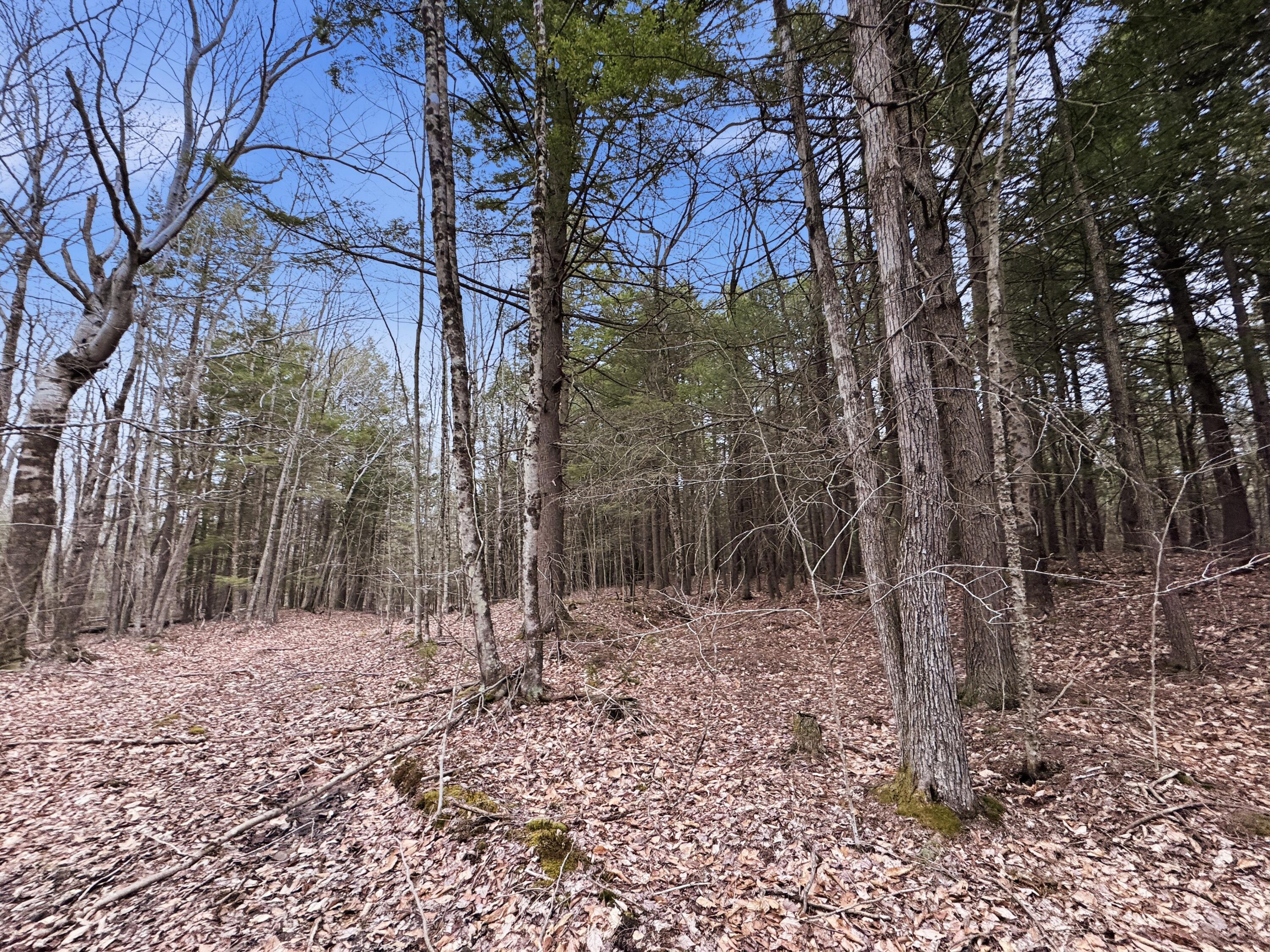 0 Old Portland Road Brunswick, ME 04011 - Photo 6 of 9 IMG_8395