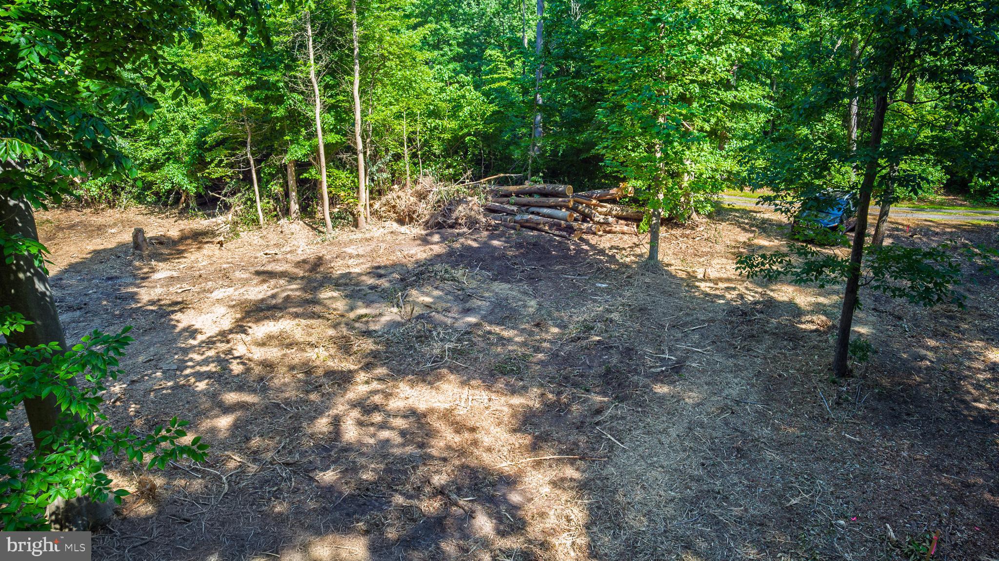 583 Blackbird Landing Road Townsend, DE 19734 - Photo 1 of 11 Aerial view of cleared area