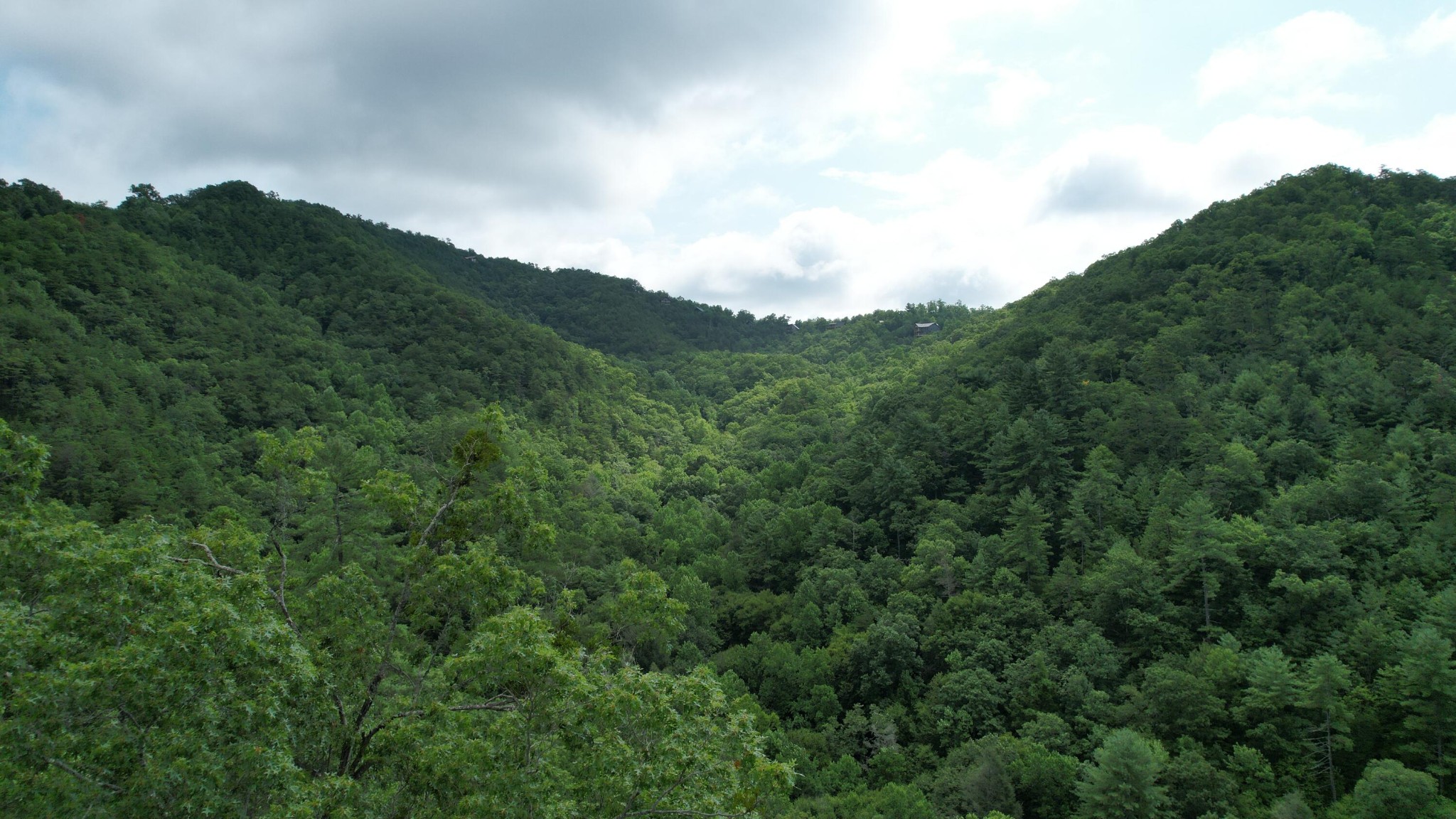 98 Black Powder Lane Sevierville, TN 37862 - Photo 28 of 30