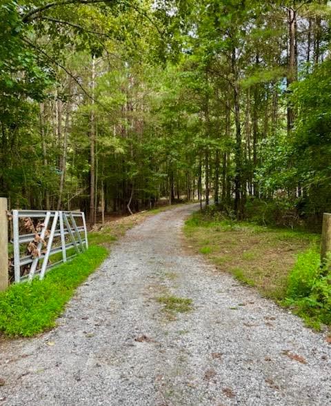 a backyard of a house with lots of green space