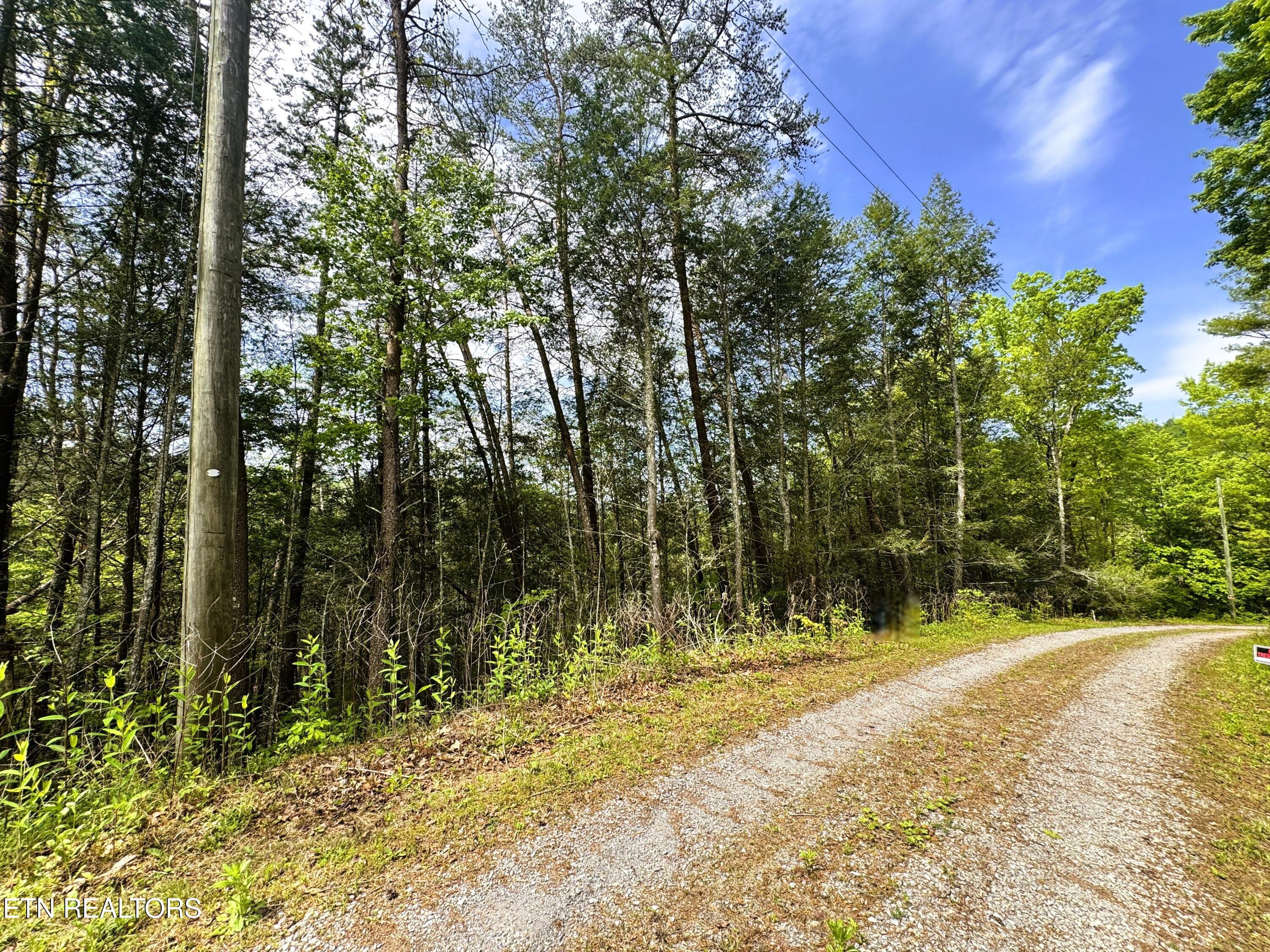 Montevallo Road Sevierville, TN 37876 - Photo 4 of 12 IMG_6950