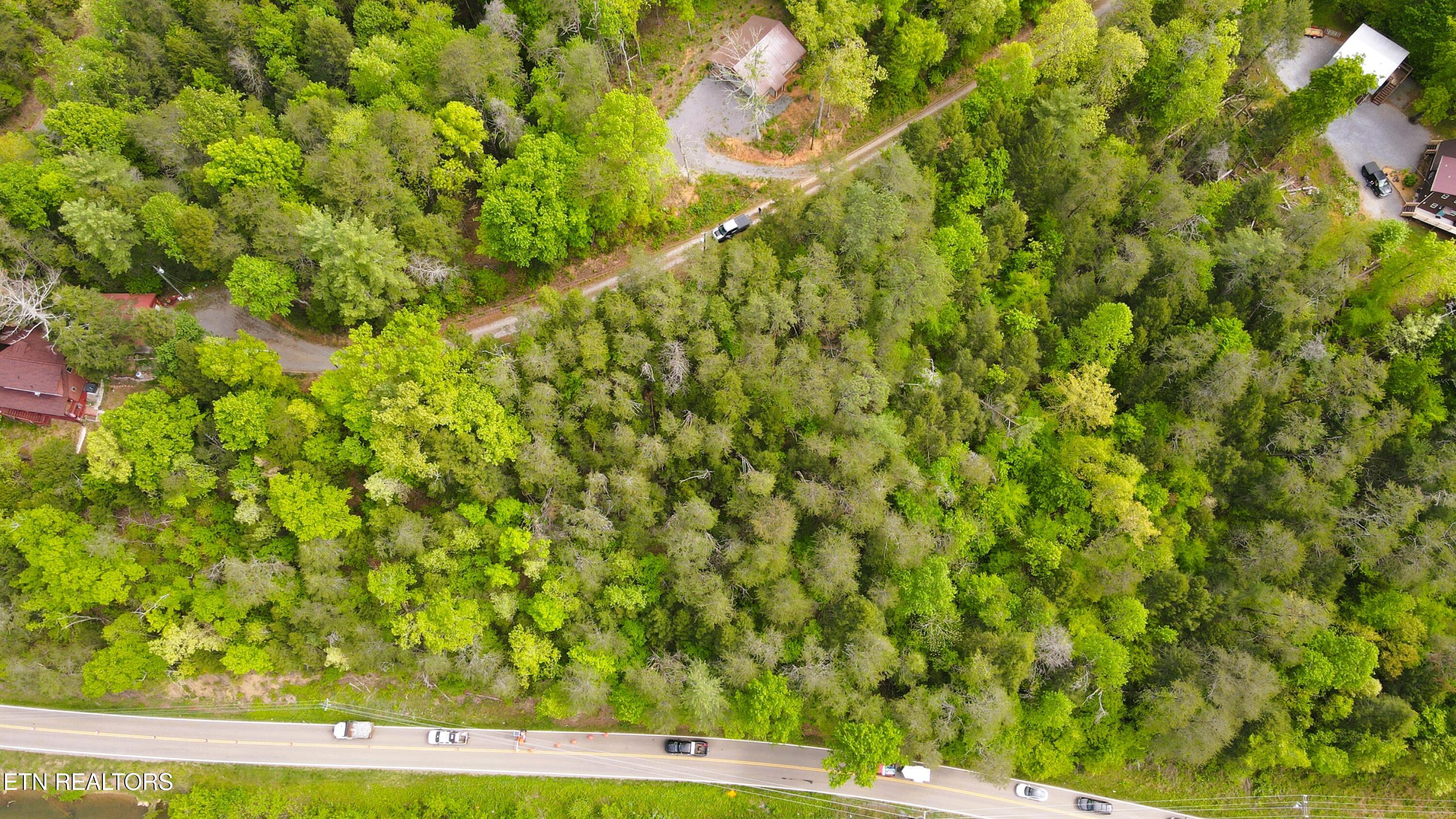 Montevallo Road Sevierville, TN 37876 - Photo 9 of 12 DJI_0467