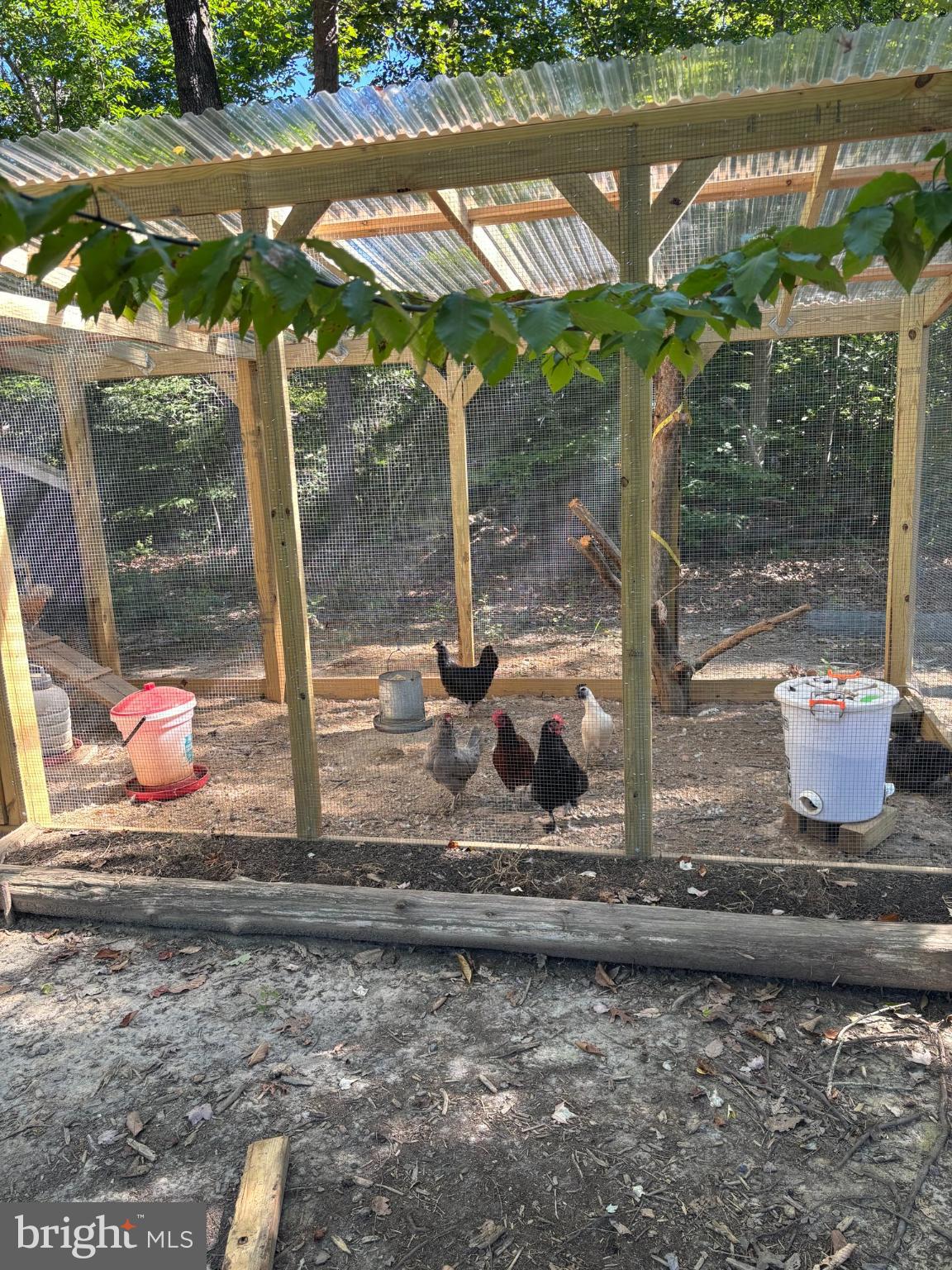 5428 Ridge Road Spotsylvania, VA 22551 - Photo 49 of 63 Chicken Coop