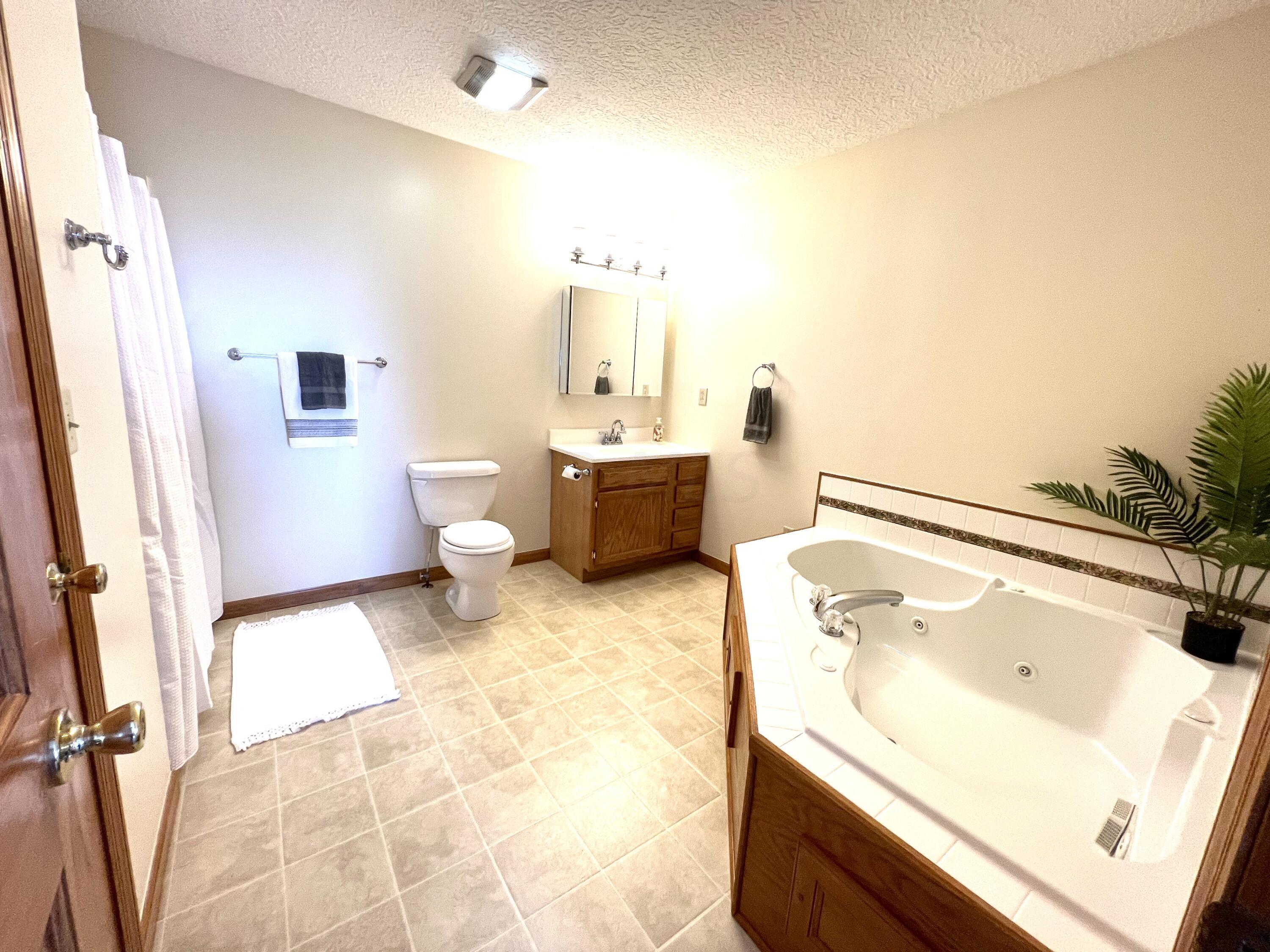 13629 Hoover Road Ashville, OH 43103 - Photo 18 of 25 Owner's bathroom with Jacuzzi tub and closet