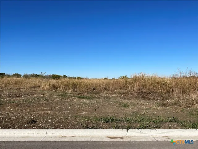 a view of a yard and mountain view in back