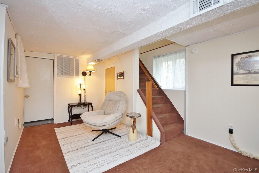 117 West Mombasha Road Monroe, NY 10950 - Photo 2 of 45 Basement bonus room