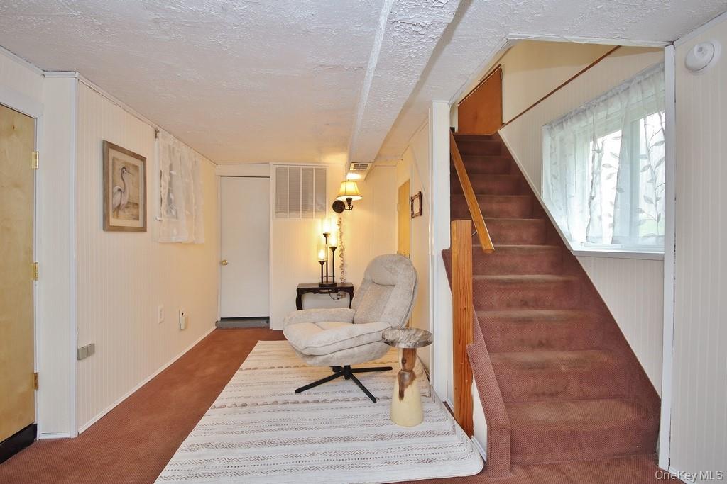 117 West Mombasha Road Monroe, NY 10950 - Photo 3 of 45