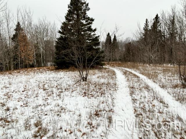 Tbd5 Larson Road Atlantic Mine, MI 49905 - Photo 12 of 56 Gallery Image 12