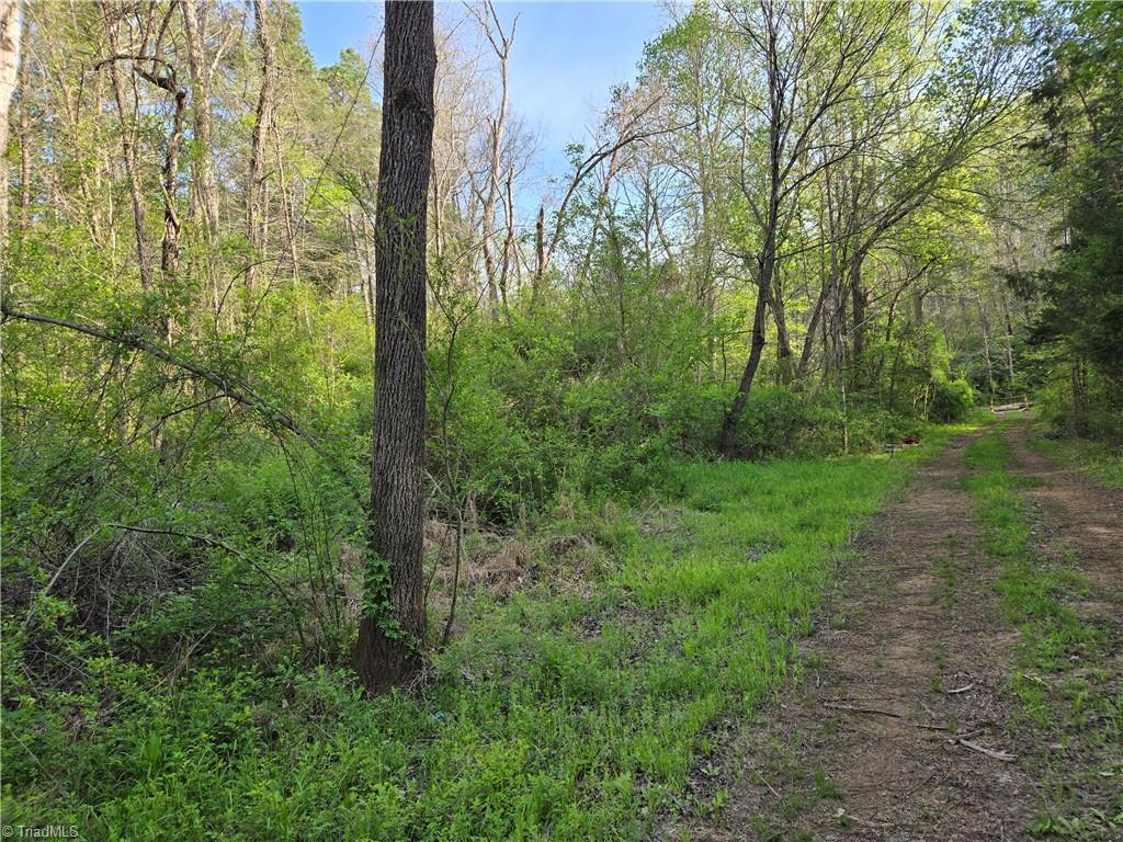 0 Hoover Hill Road Asheboro, NC 27205 - Photo 7 of 29