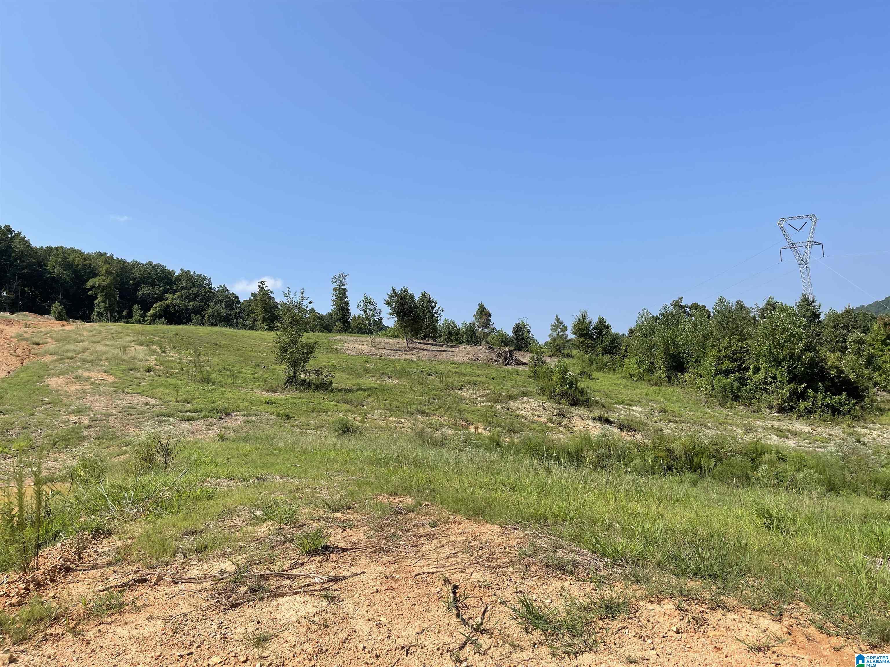 0 Benefield Gap Road Piedmont, AL 36272 - Photo 8 of 24