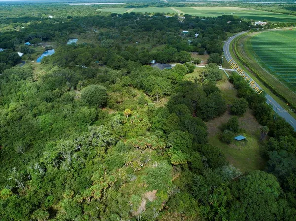 a view of a lush green forest with lots of trees