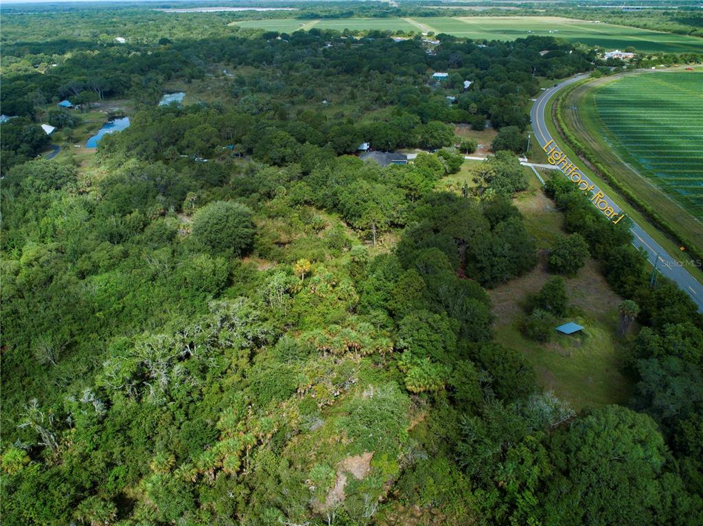 Lightfoot Road Wimauma, FL 33598 - Photo 12 of 16 a view of a lush green forest with lots of trees